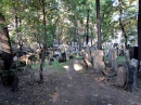 Cmentarz w Pradze. Ten cmentarz.